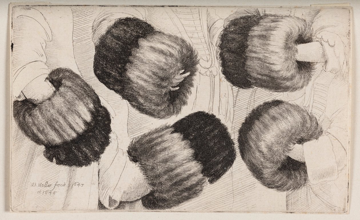 Egy kézmelegítő öt különböző módon ábrázolva alkotó: Wenceslaus Hollar