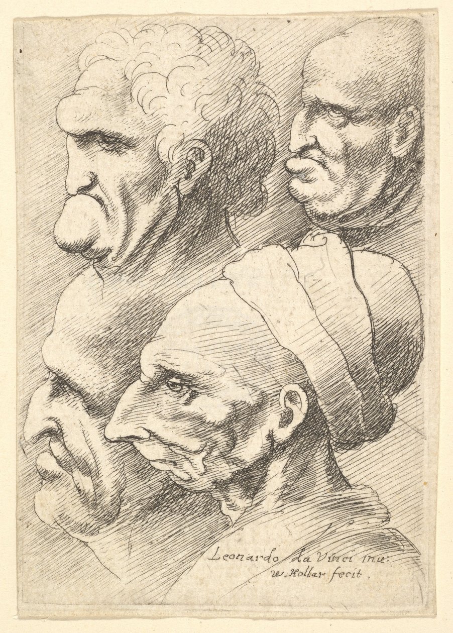 Négy groteszk fej profilban balra, 1625-77. alkotó: Wenceslaus Hollar