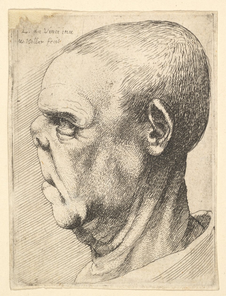 Groteszk idős férfi profilban lapított orral balra, 1625-77. alkotó: Wenceslaus Hollar