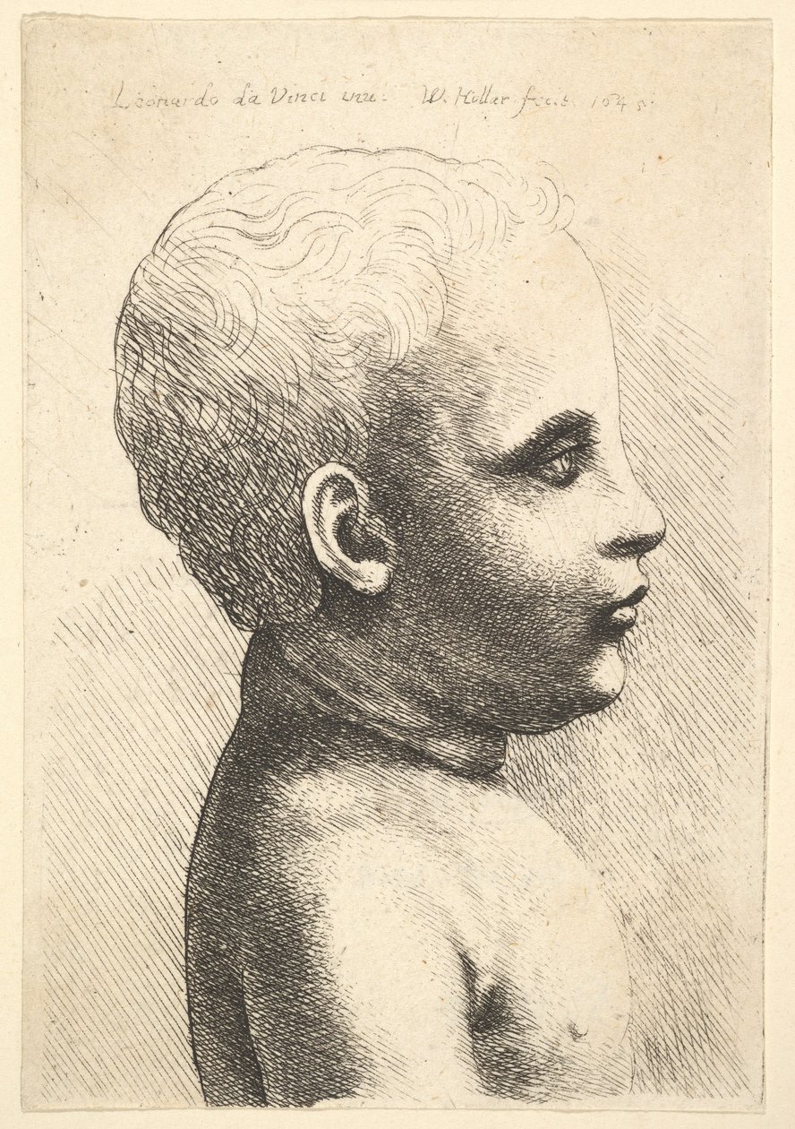 Gyermek feje és válla, profilban jobbra, 1645. alkotó: Wenceslaus Hollar