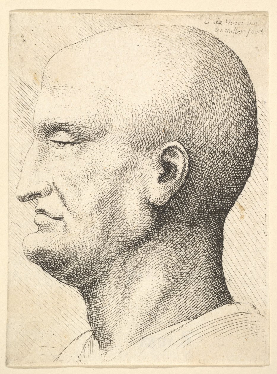 Egy kopasz férfi feje profilban balra, 1644-52. alkotó: Wenceslaus Hollar