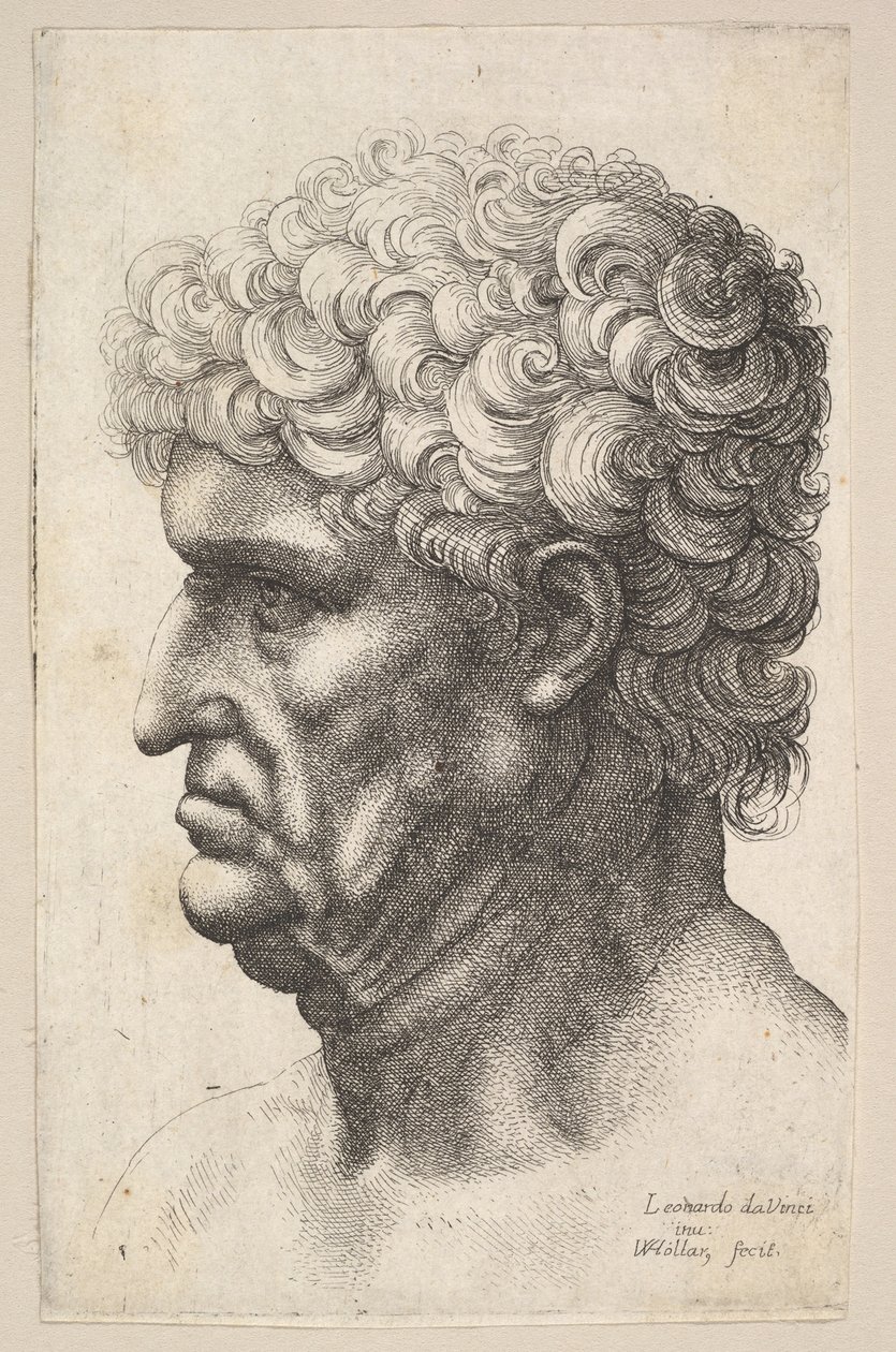 Egy dús göndör hajú férfi feje profilban balra, 1640-49. alkotó: Wenceslaus Hollar