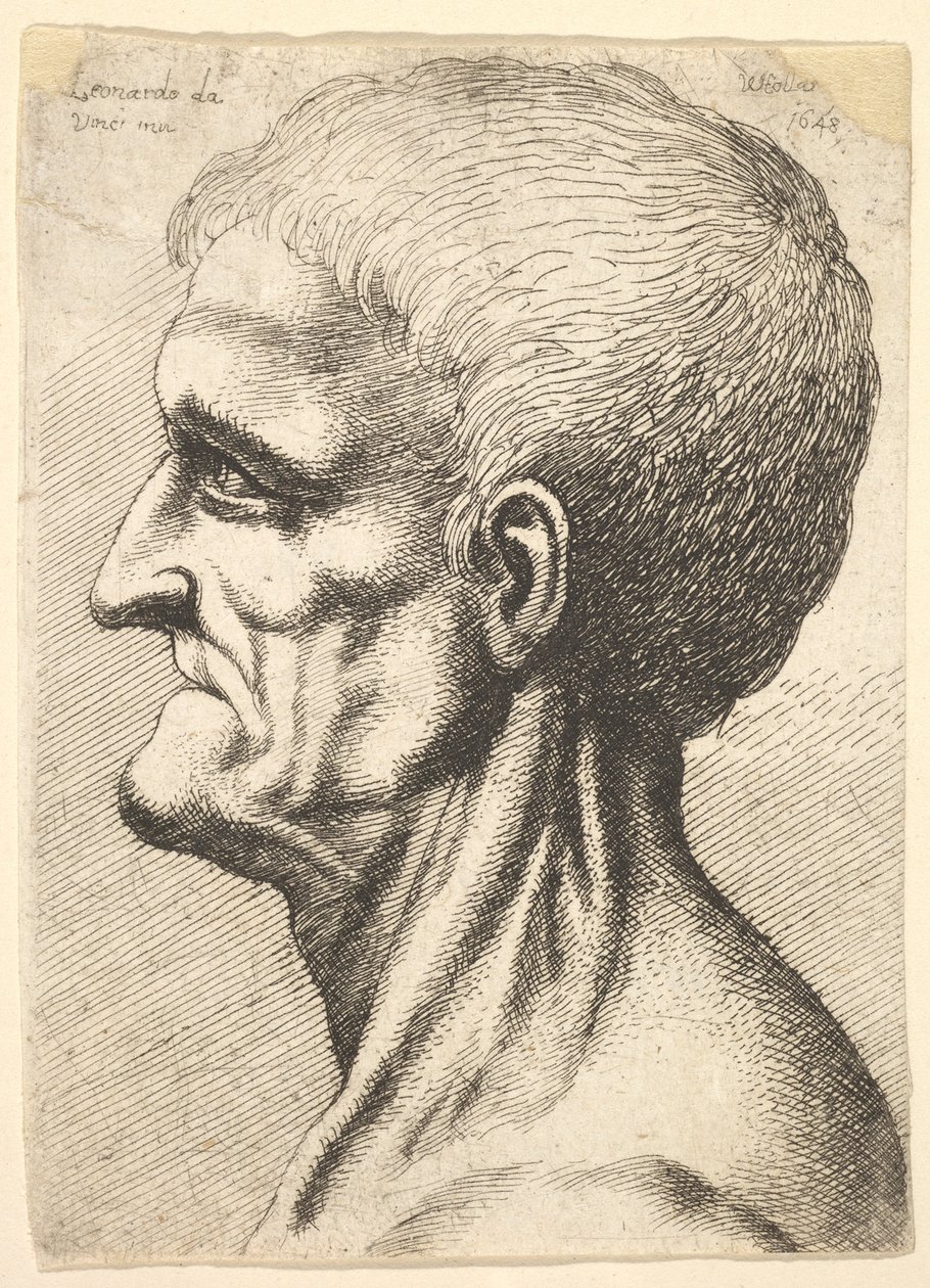 Fogatlan férfi feje, csupasz, inas nyakú profilban balra, 1648. alkotó: Wenceslaus Hollar