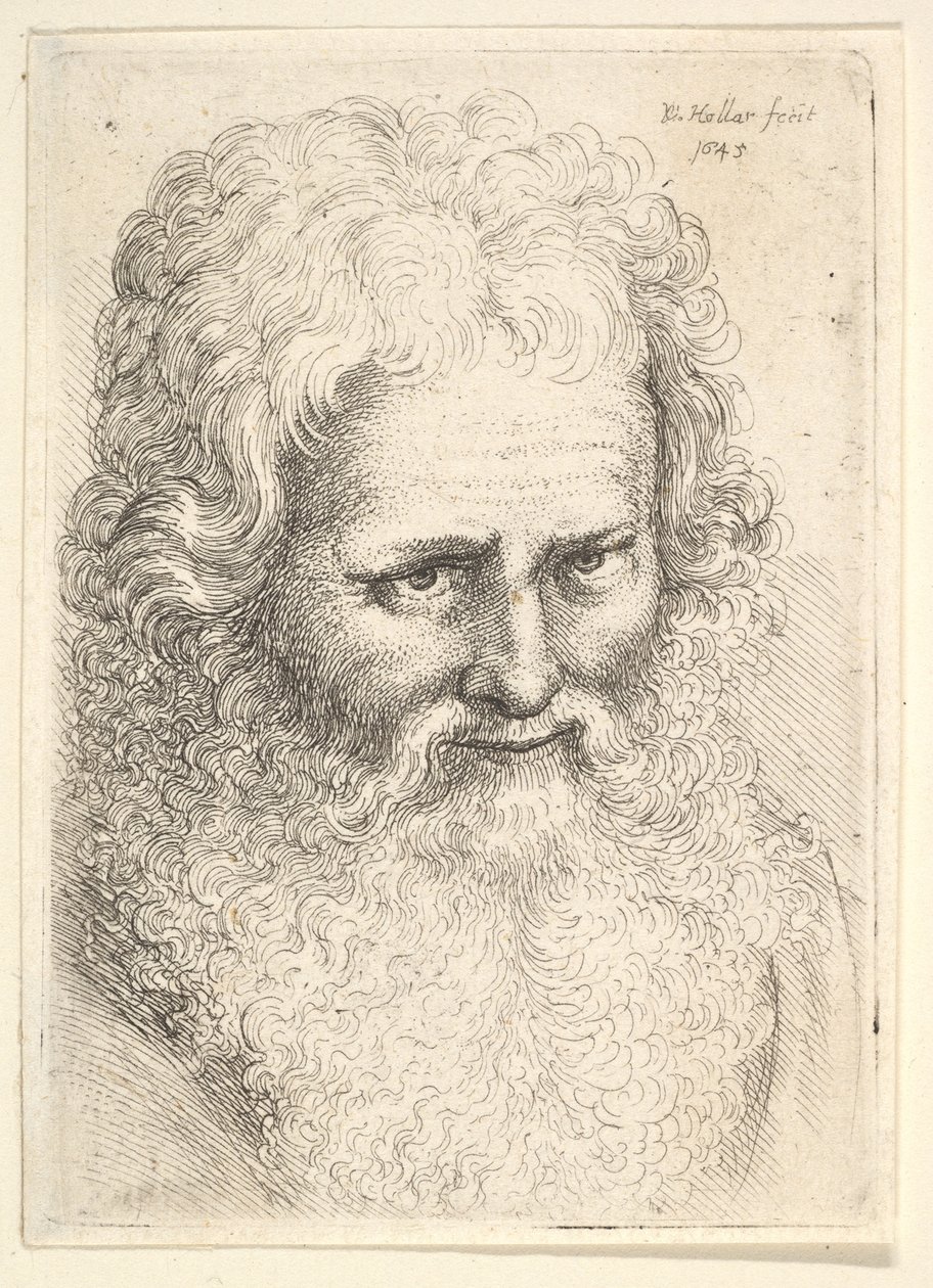 Nagy szakállú öregember feje alkotó: Wenceslaus Hollar