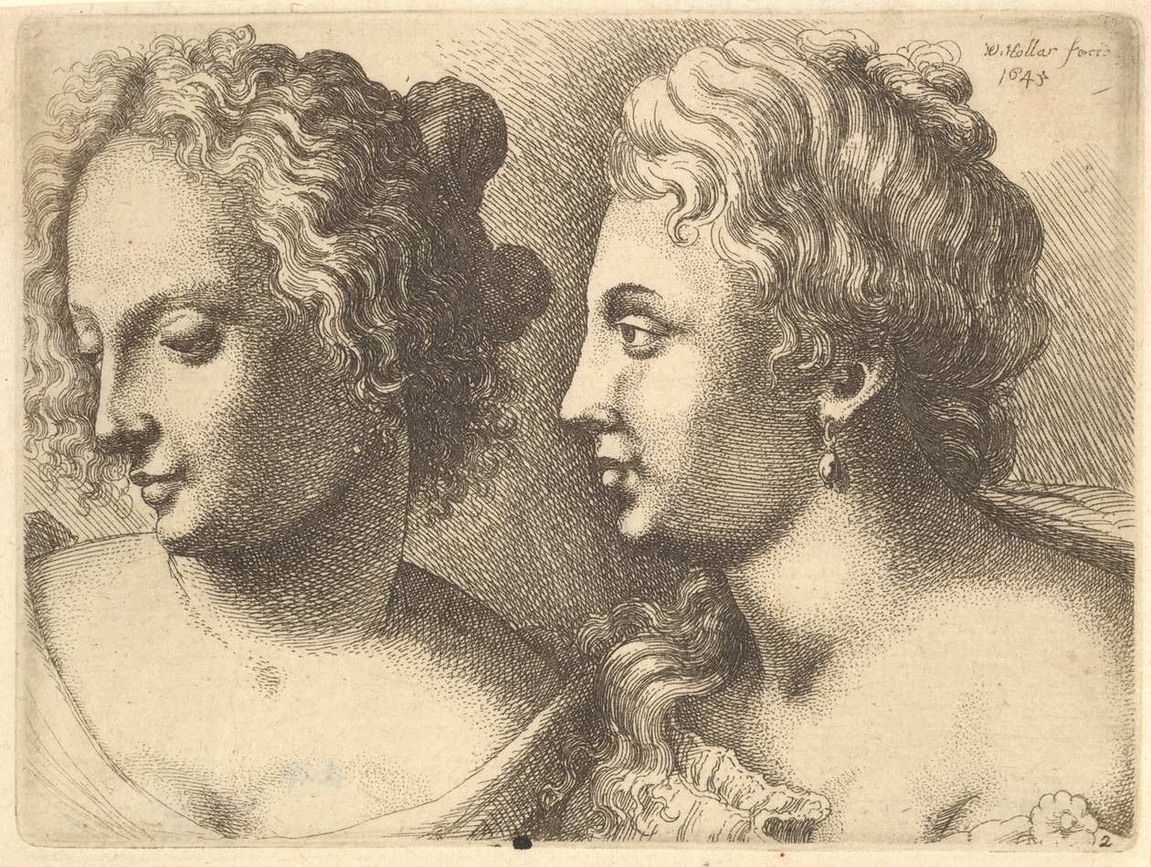 Két fiatal nő feje, 1645. alkotó: Wenceslaus Hollar