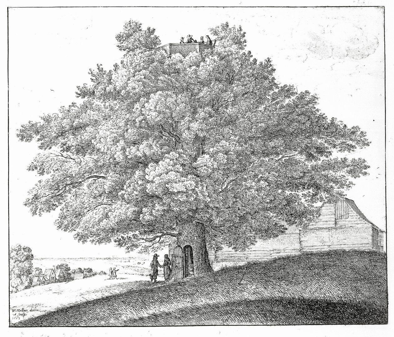 Hollow Tree Hampsteadben, 1663 alkotó: Wenceslaus Hollar
