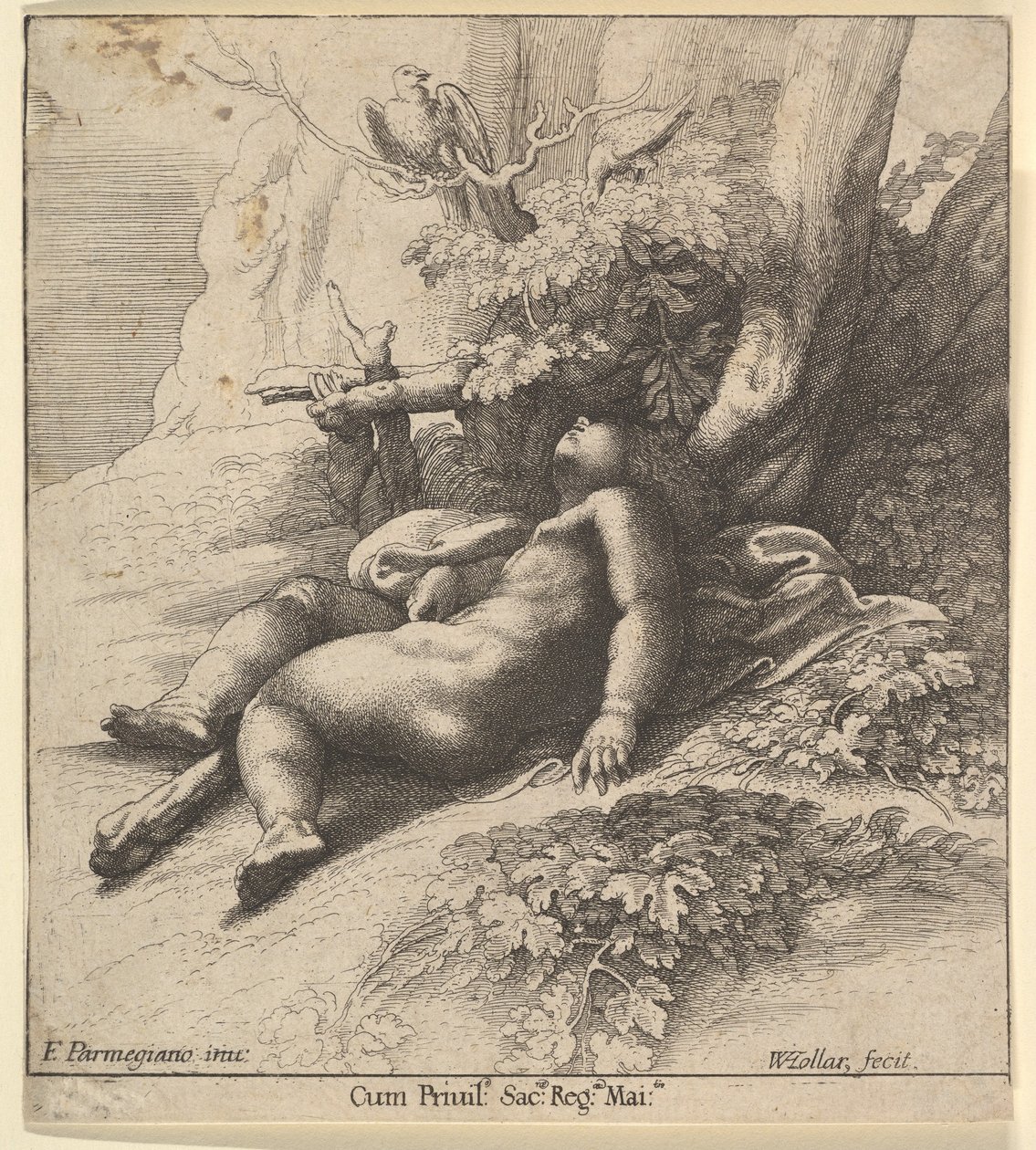 Herkules csecsemő alszik, 1625-77. alkotó: Wenceslaus Hollar