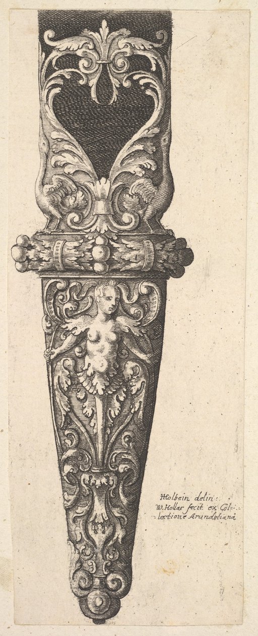 Egy hüvely alsó része, 1625-77. alkotó: Wenceslaus Hollar