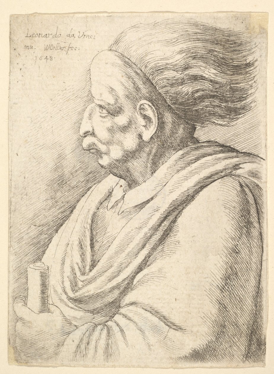 Férfi karikírozott arcvonásokkal, mögötte hullámzó hajjal, félhosszúan balra, 1648. alkotó: Wenceslaus Hollar
