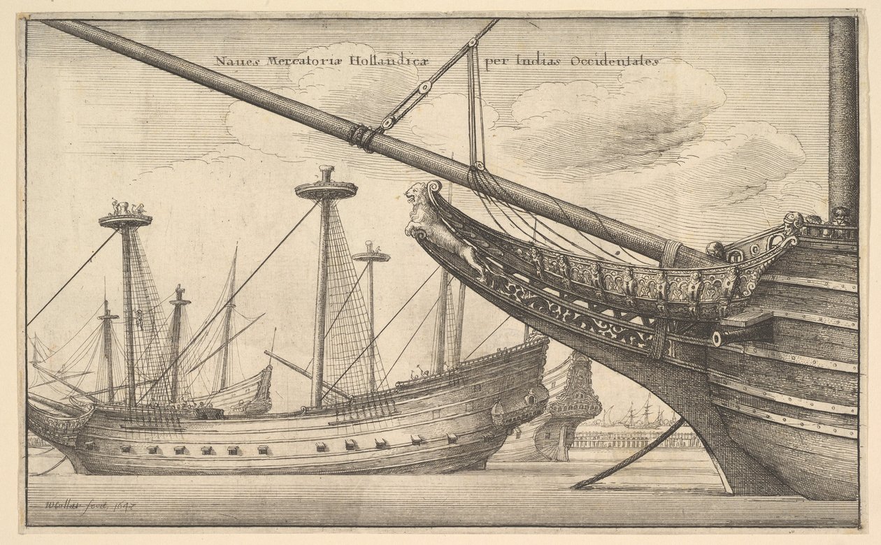 Holland nyugat-indiai, 1647 alkotó: Wenceslaus Hollar