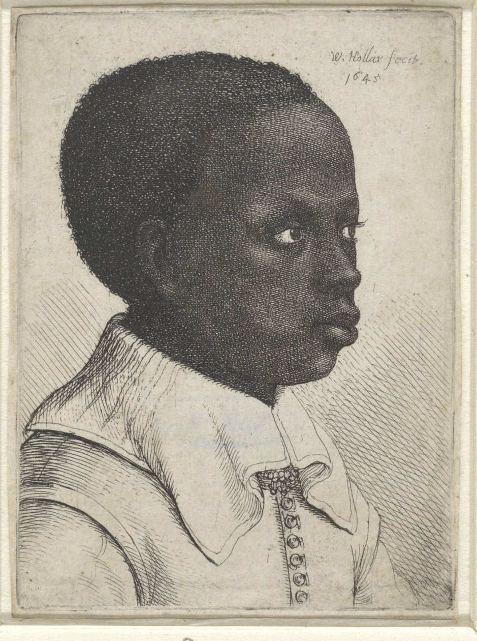 Egy fekete fiú portréja, 1645 alkotó: Wenceslaus Hollar
