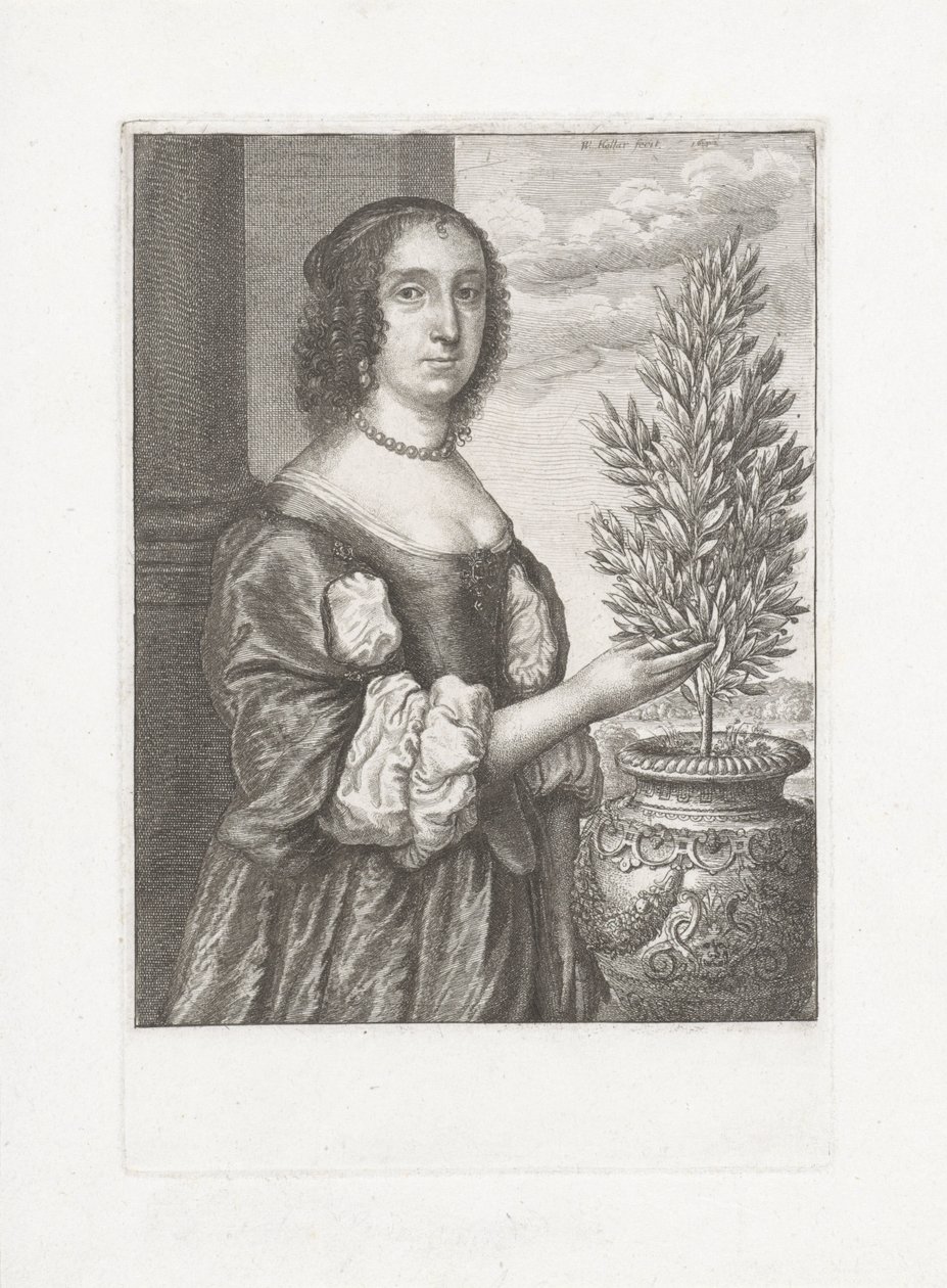 Egy babérnövény mellett álló nő portréja alkotó: Wenceslaus Hollar