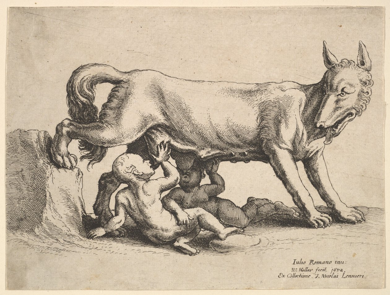 Romulus és Remus, 1652. alkotó: Wenceslaus Hollar