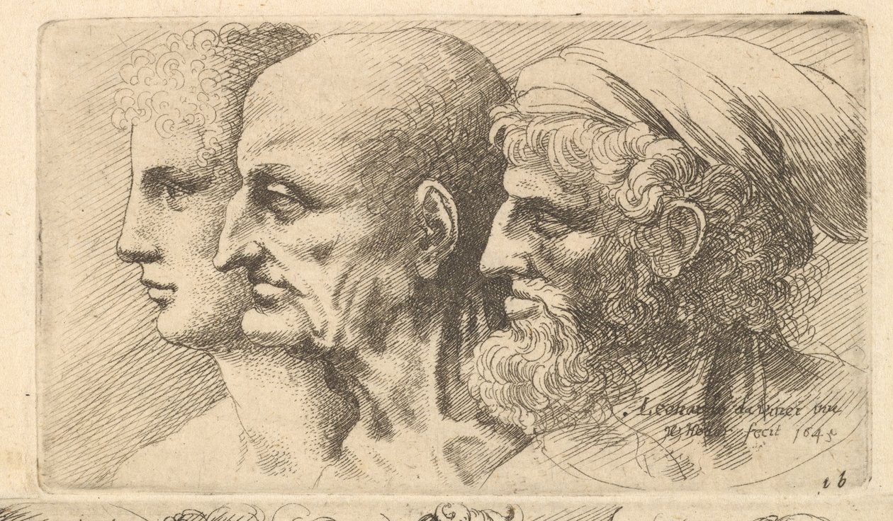 Három fejből álló sor profilban balra, 1645. alkotó: Wenceslaus Hollar