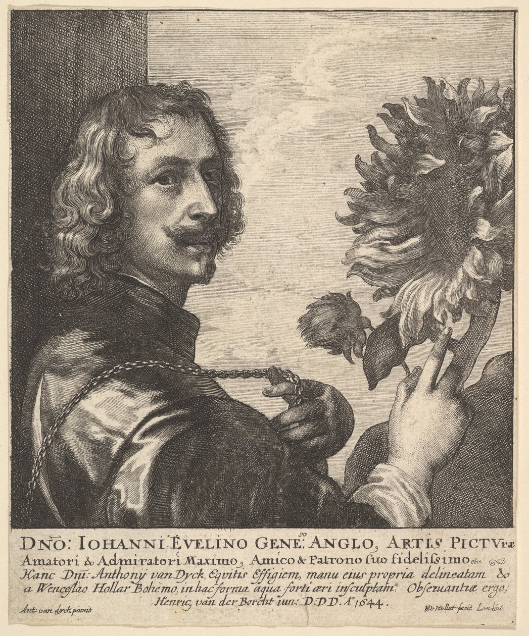 Sir Anthony van Dyck napraforgóval, 1644. alkotó: Wenceslaus Hollar
