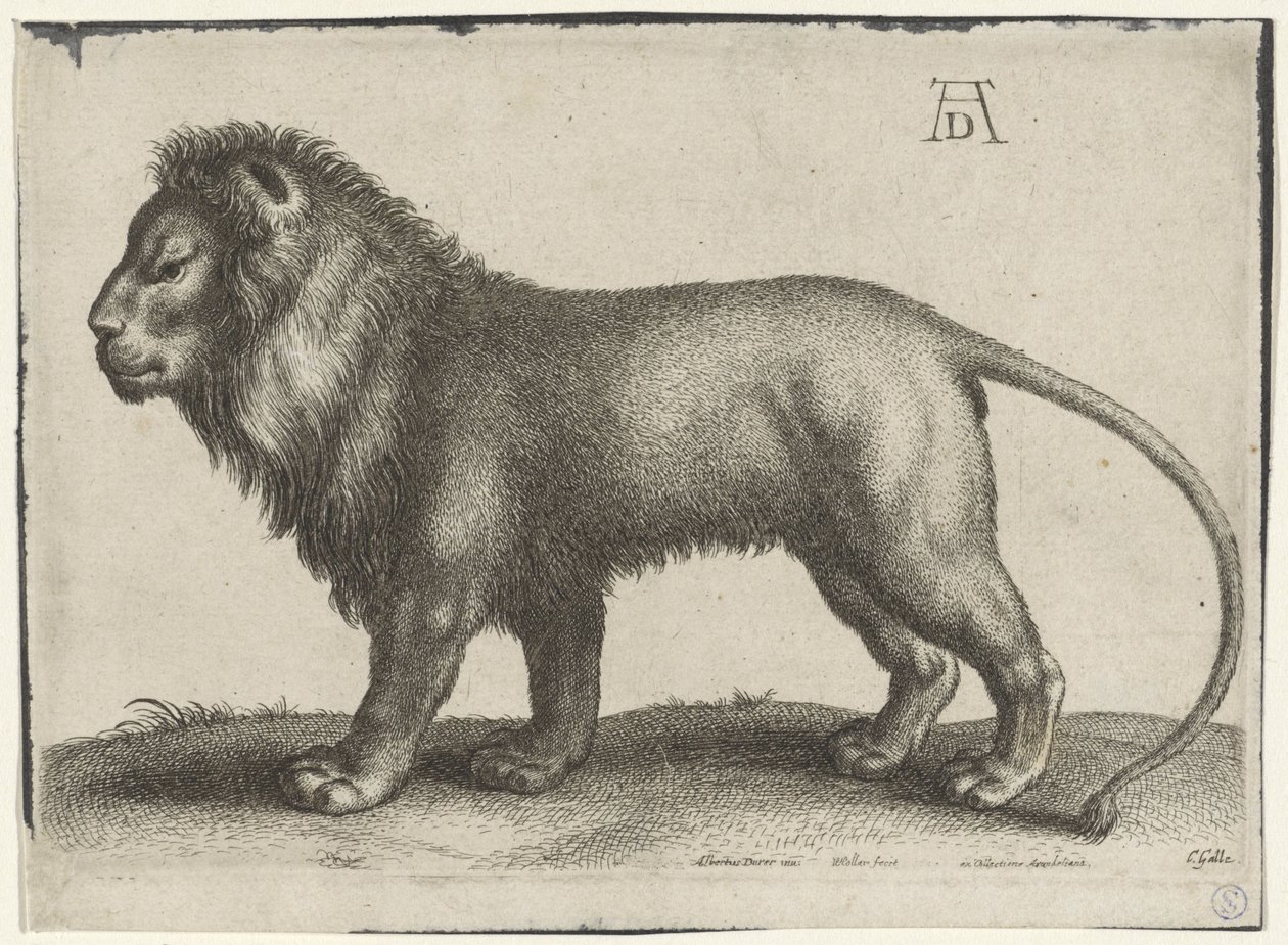álló oroszlán alkotó: Wenceslaus Hollar