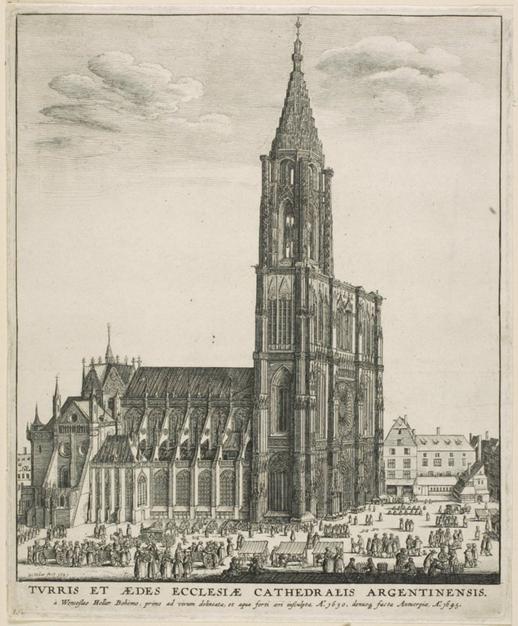 Strasbourgi katedrális alkotó: Wenceslaus Hollar