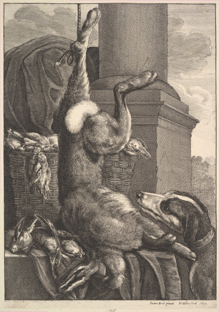 A döglött nyúl, 1649. alkotó: Wenceslaus Hollar