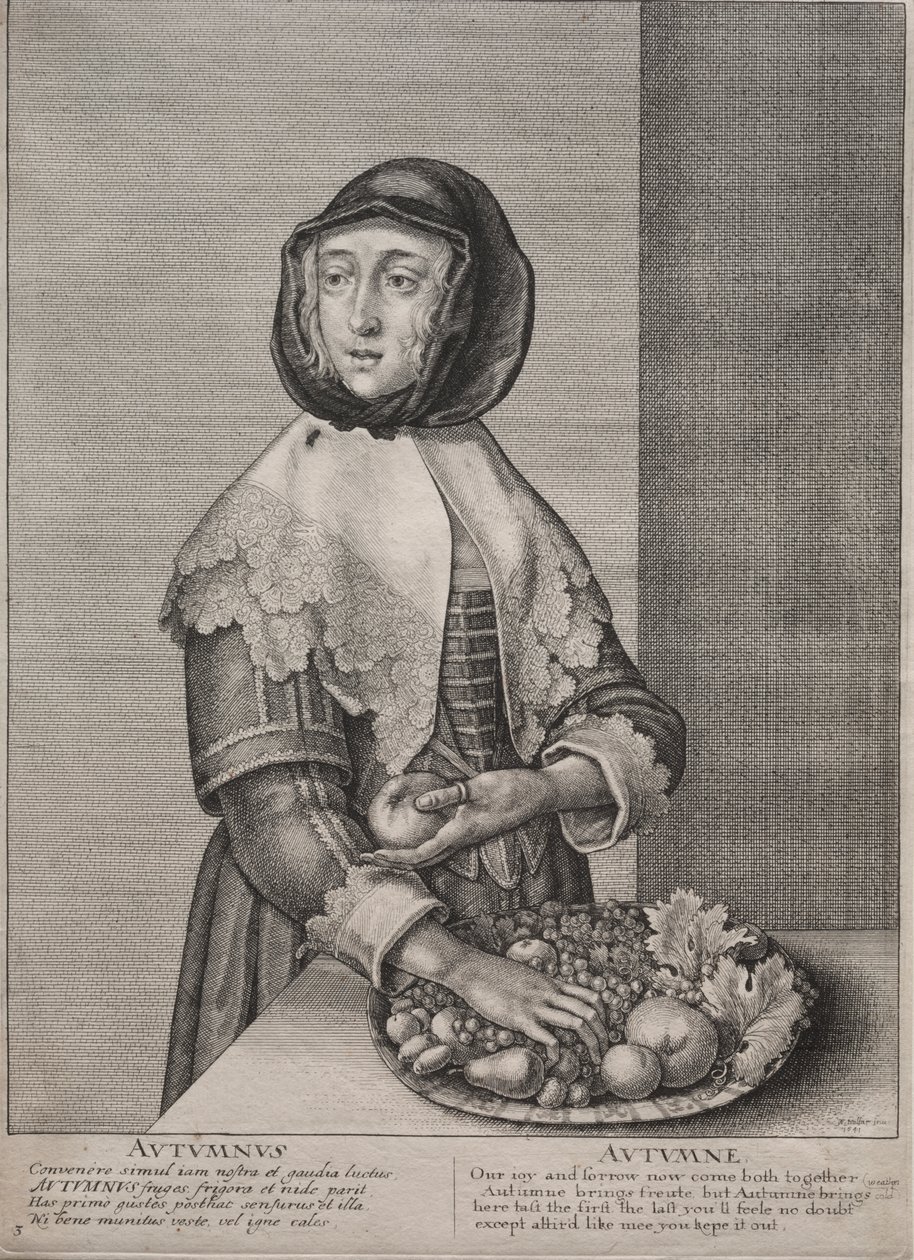 A négy évszak: ősz alkotó: Wenceslaus Hollar