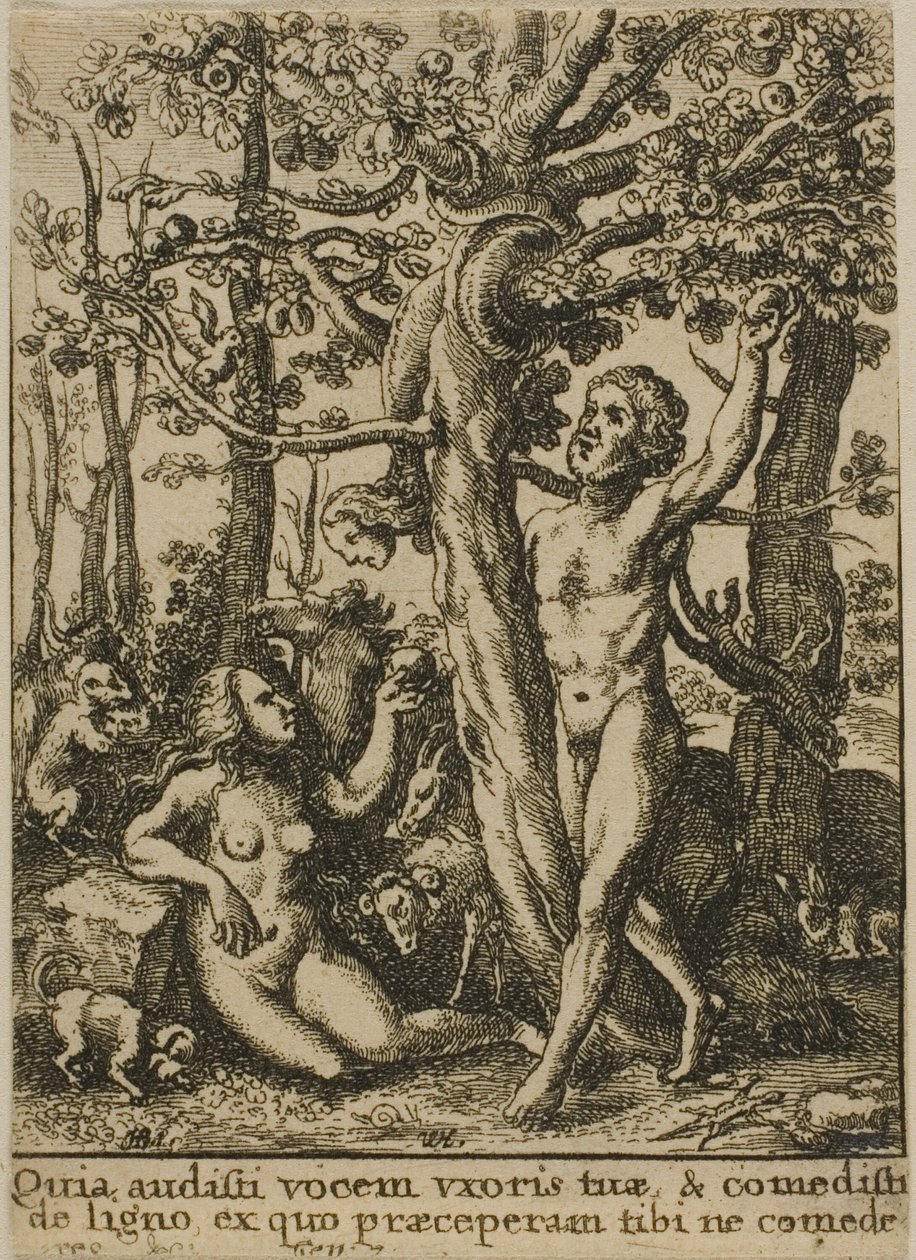 Az Éden kertje alkotó: Wenceslaus Hollar