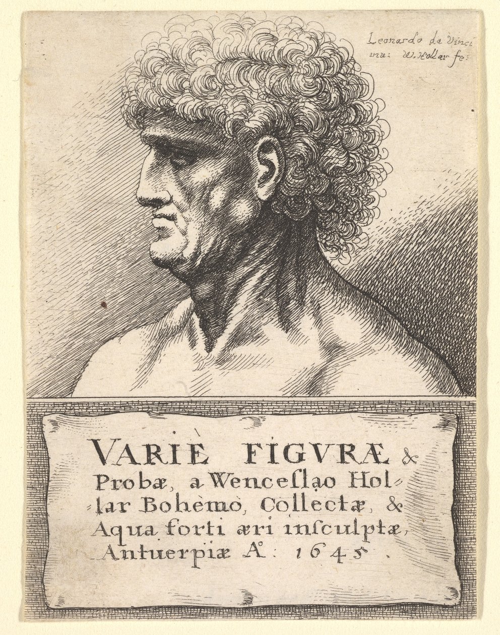 A Variety of Figures & Probes címlapja, 1645 alkotó: Wenceslaus Hollar