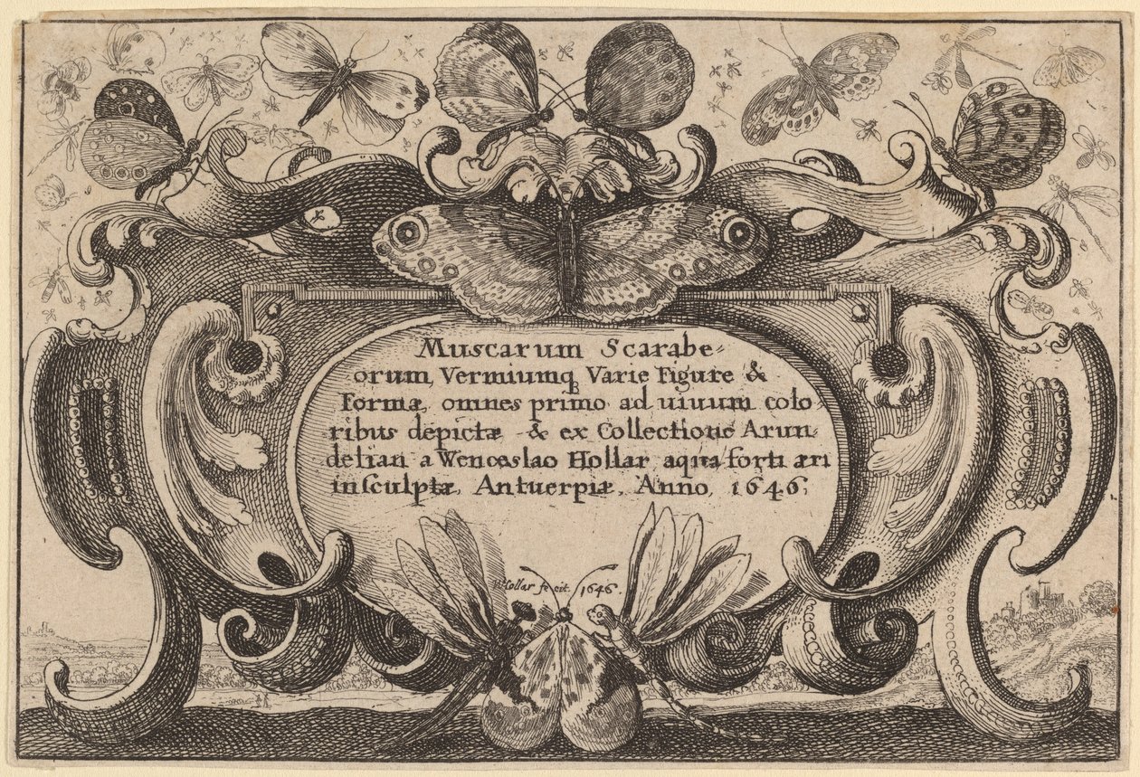 Címlap alkotó: Wenceslaus Hollar