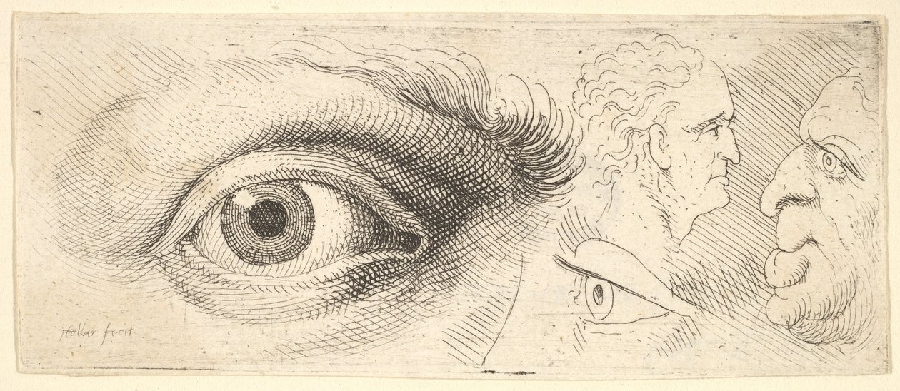 Két szem és két fej, 1644-52. alkotó: Wenceslaus Hollar