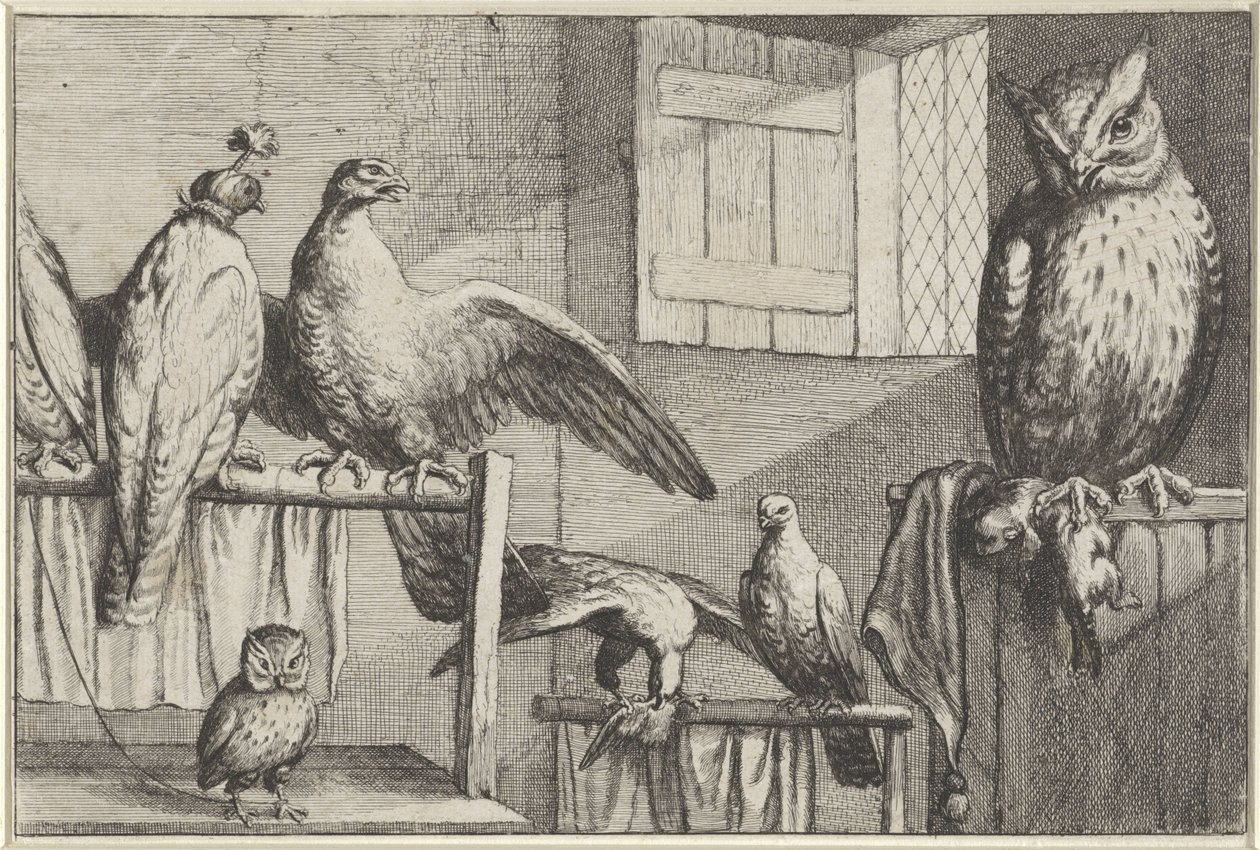 Sólymok és baglyok egy istállóban Diversae avium fajok (sorozat címe) Különböző madarak (sorozat címe) alkotó: Wenceslaus Hollar
