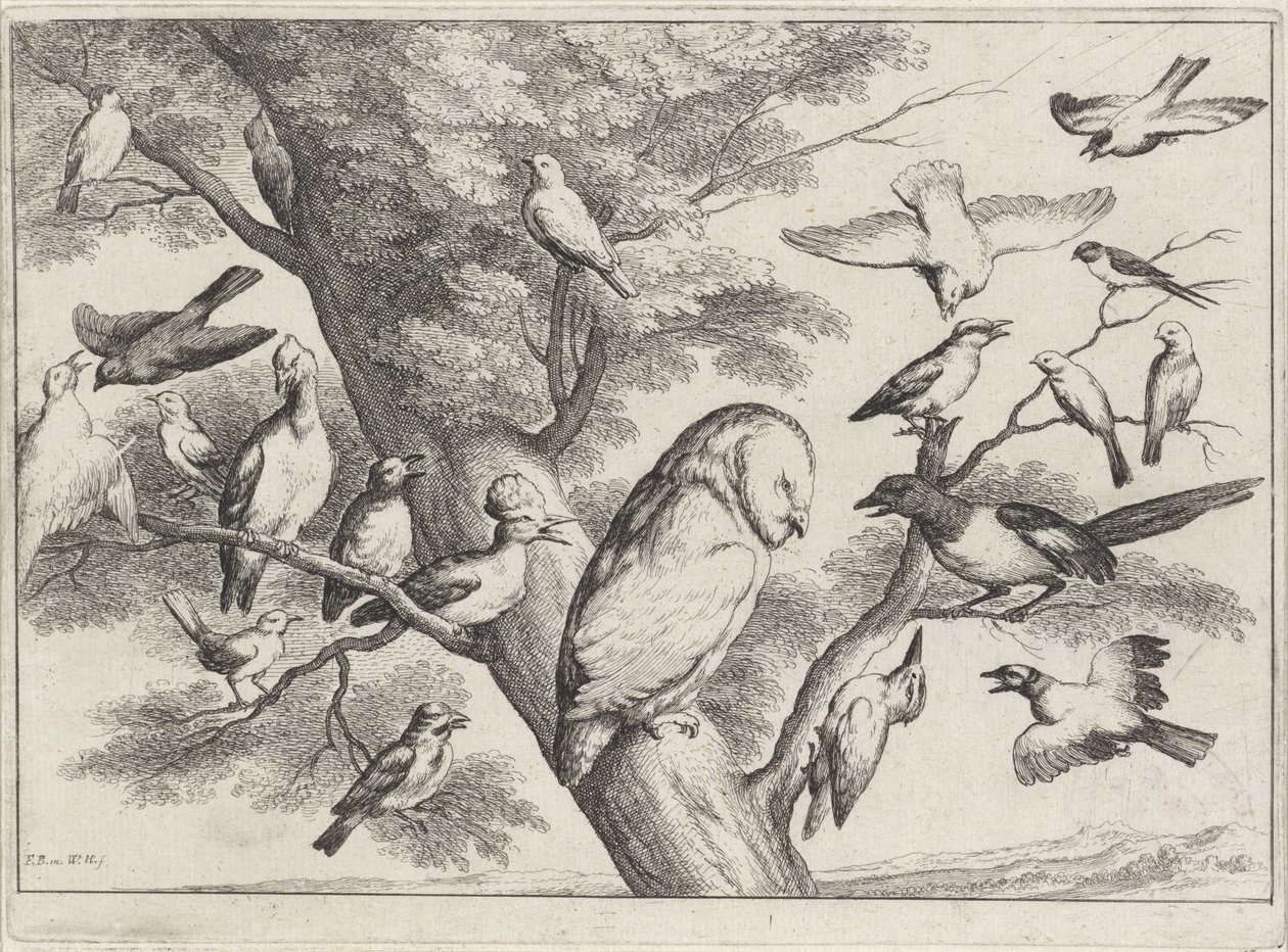Madarak a fán Különböző madarak (sorozat címe) alkotó: Wenceslaus Hollar