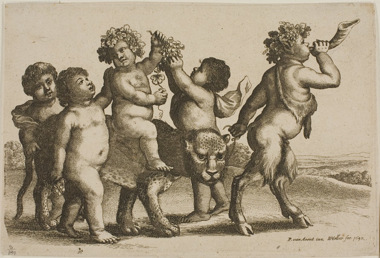 Fiatal Bacchus, aki leopárdon lovagol, egy szatír vezetésével kürtöt fúj alkotó: Wenceslaus Hollar