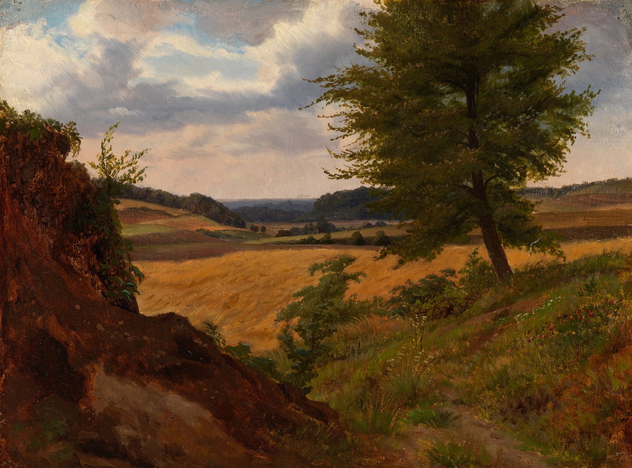 Fa mezős tájban, tanulmány alkotó: Werner Holmberg