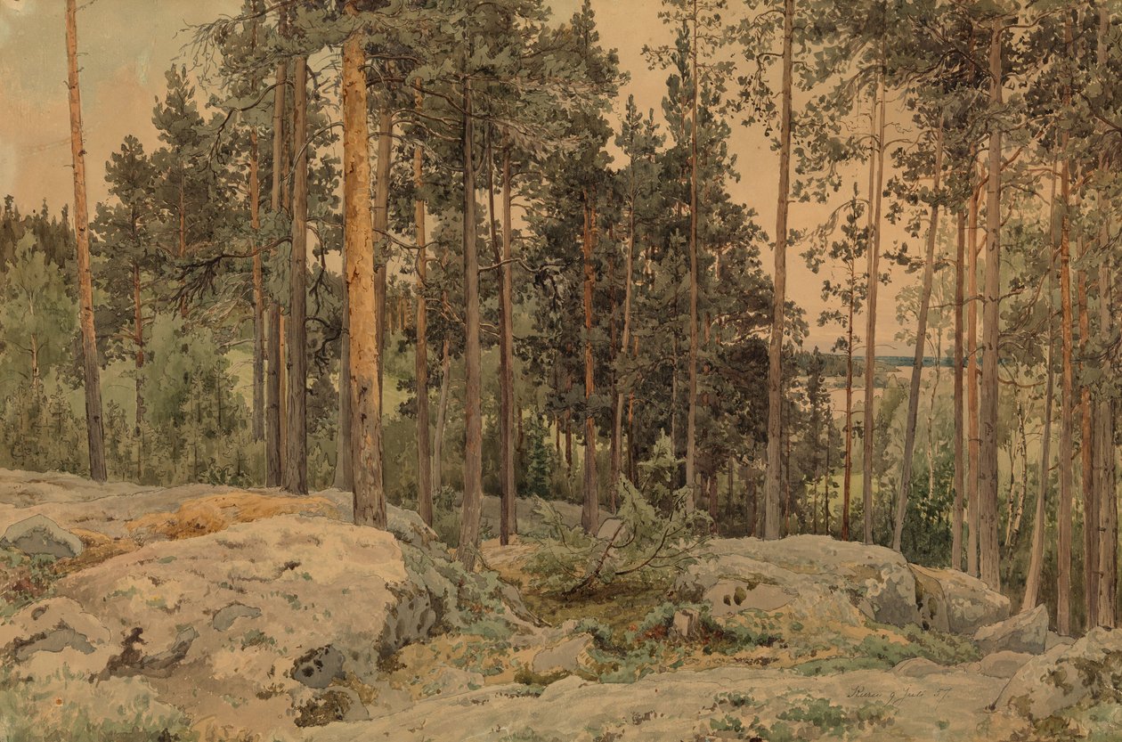Cím nélkül alkotó: Werner Holmberg