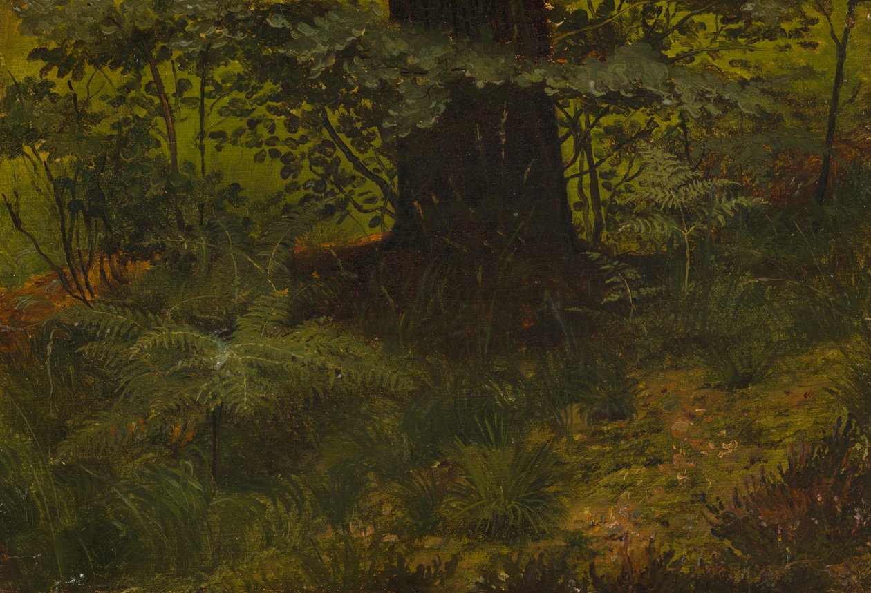 Cím nélkül alkotó: Werner Holmberg
