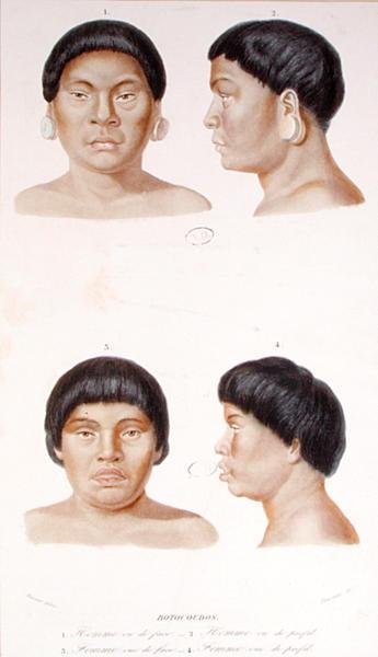 Két botocudosi indián antropometriai vizsgálata, Fournier metszet, 19. század közepe (színes litó) alkotó: Werner Werner