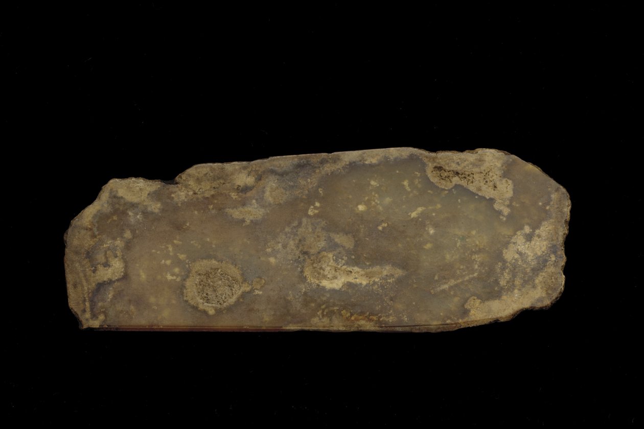 Szertartási fegyver töredéke (jáde (nefrit)) alkotó: Western Zhou Dynasty Chinese School