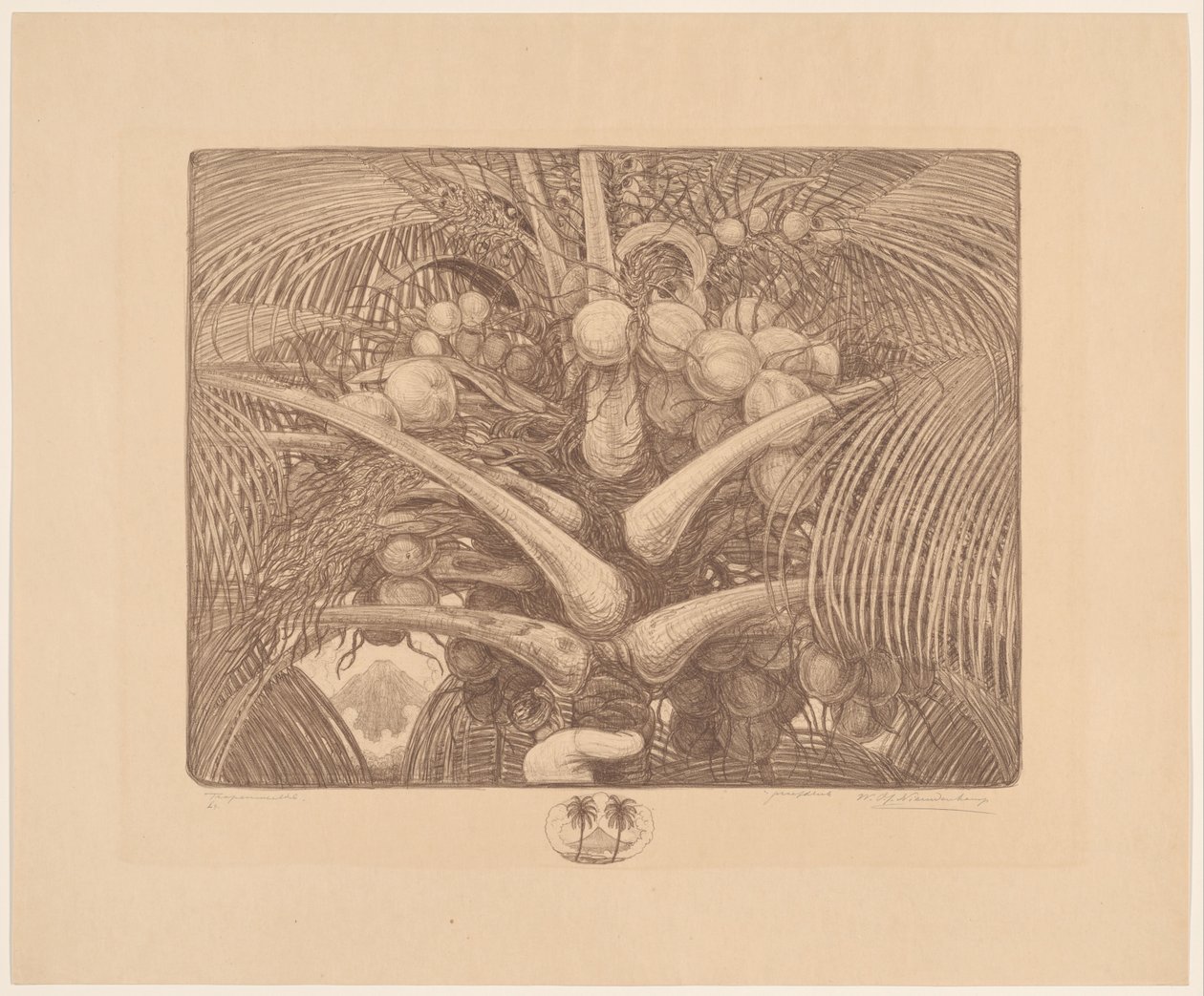 Egy kókuszfa teteje Tropenweelde (eredeti cím a tárgyon) alkotó: Wijnand Otto Jan Nieuwenkamp (signed by artist)