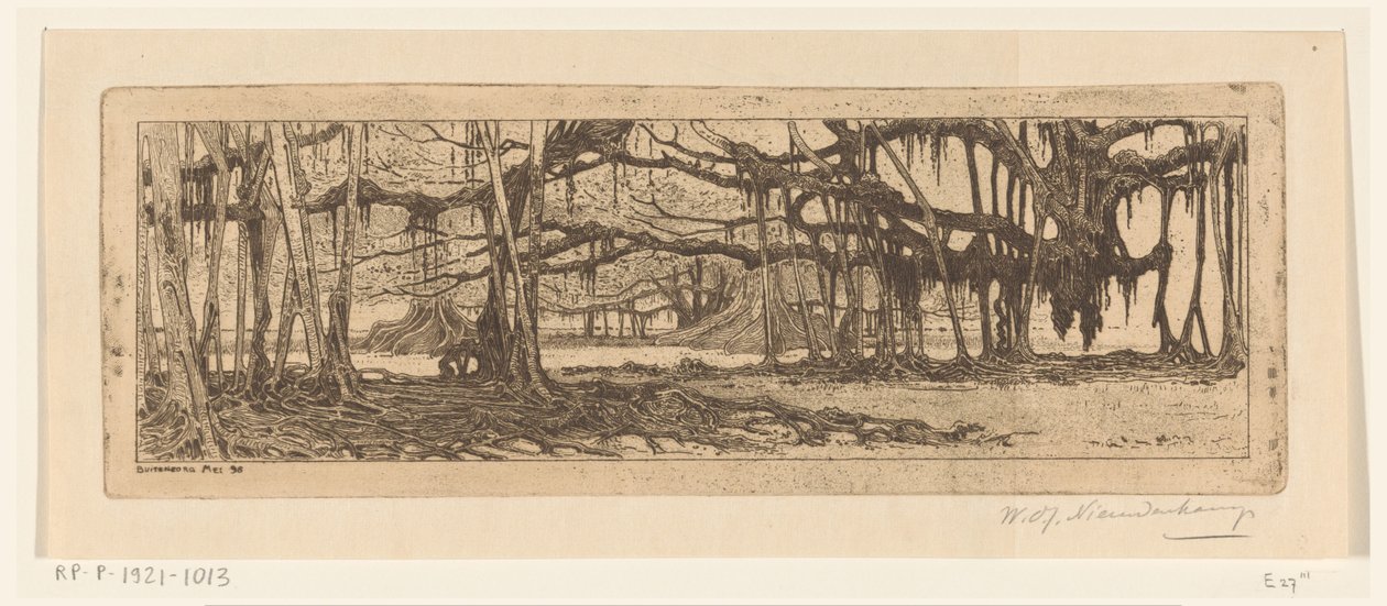 Waringin fák egy kertben Buitenzorgban A buitenzorgi kertben (eredeti cím) alkotó: Wijnand Otto Jan Nieuwenkamp (signed by artist)