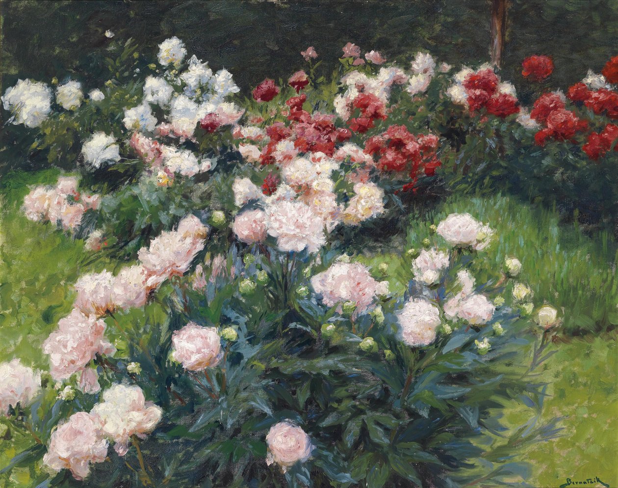 Pünkösdi rózsa alkotó: Wilhelm Bernatzik