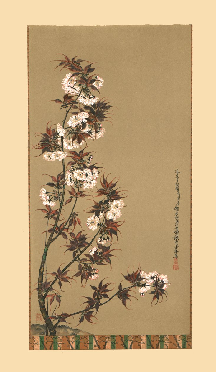 Mikawai cseresznyevirágok, 19. század, 1886 alkotó: Wilhelm Greve
