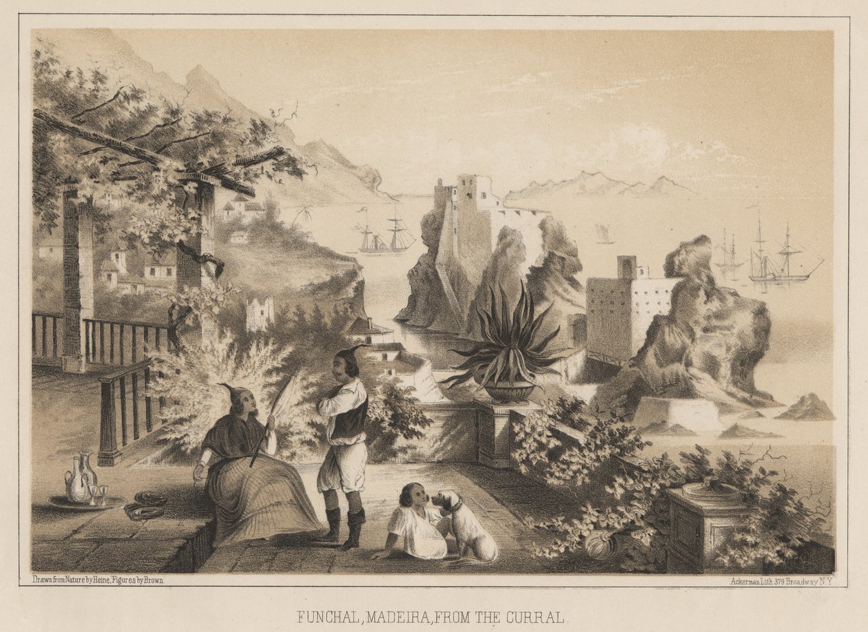 Funchal, Madeira, a karámból, 1885 alkotó: Wilhelm Joseph Heine