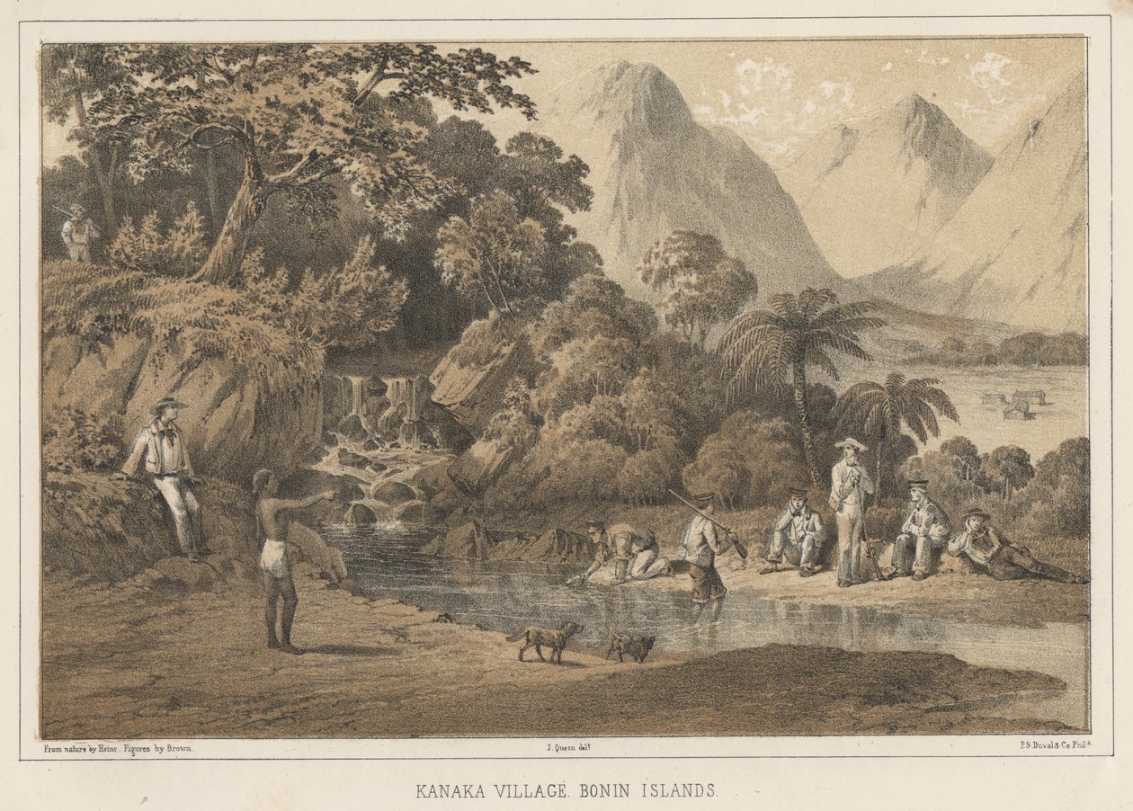 Kanaka falu Bonin-szigetek, 1855 alkotó: Wilhelm Joseph Heine