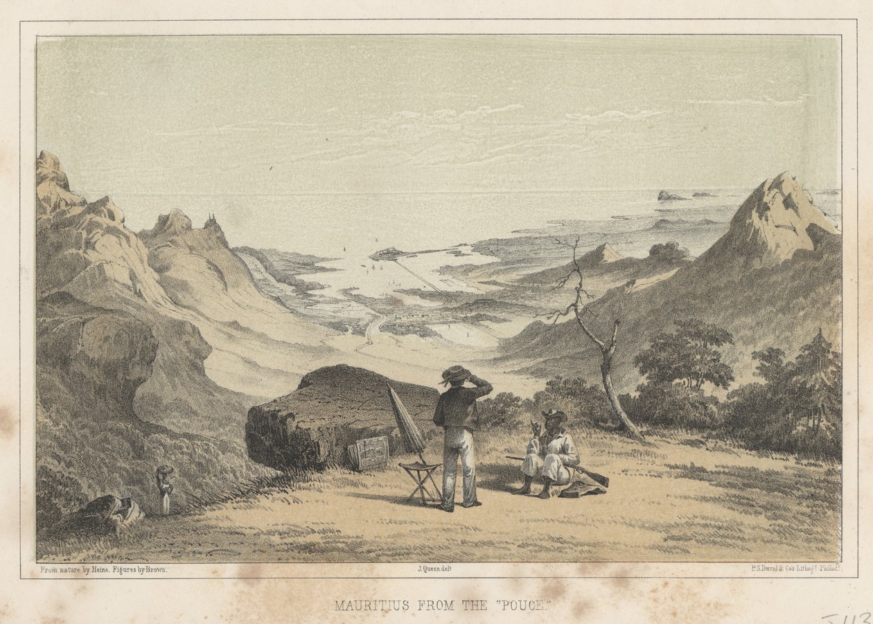 Mauritius a Pouce-ból, 1855 alkotó: Wilhelm Joseph Heine