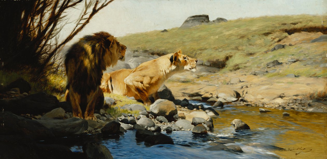 Oroszlán és oroszlán egy pataknál, alkotó: Wilhelm Kuhnert