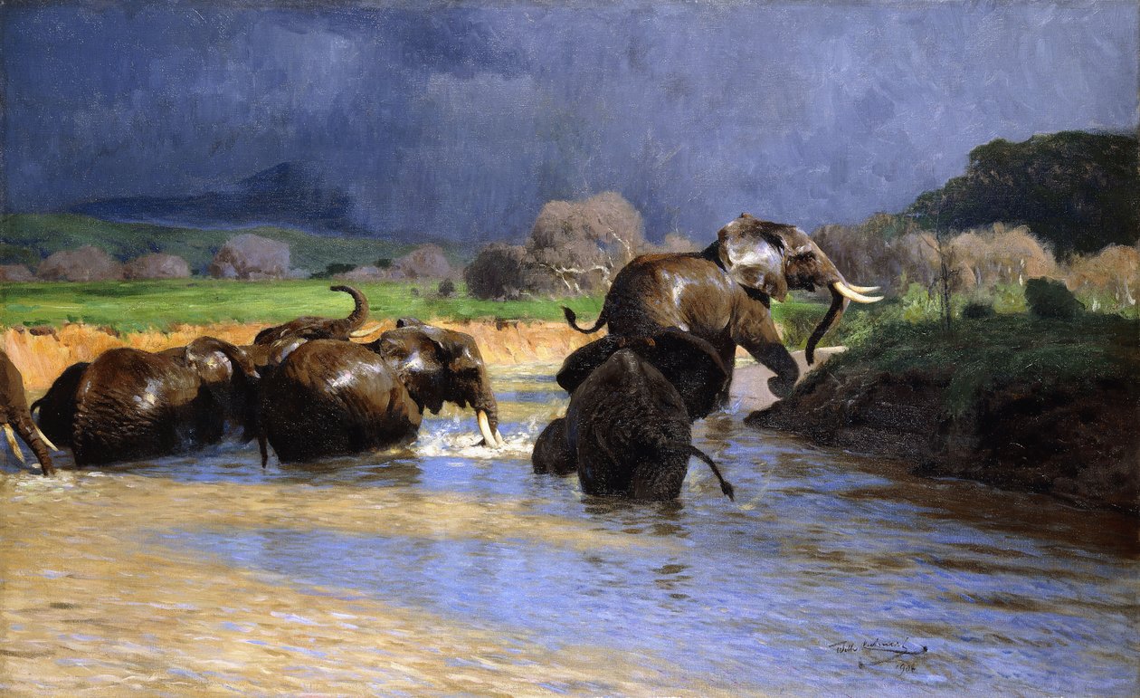 elefántok fürdetése; Fürdő elefántok, 1908 alkotó: Wilhelm Kuhnert