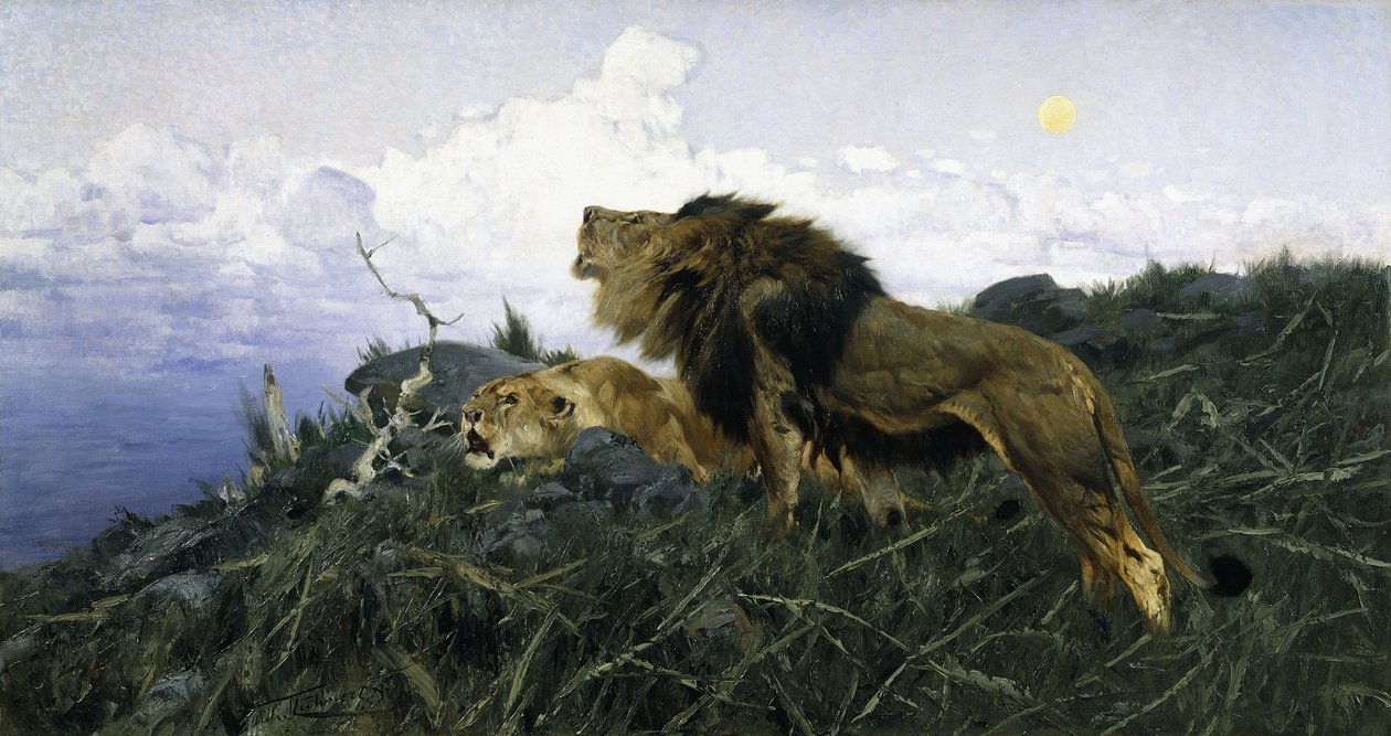 Oroszlánok alkonyatkor, alkotó: Wilhelm Kuhnert