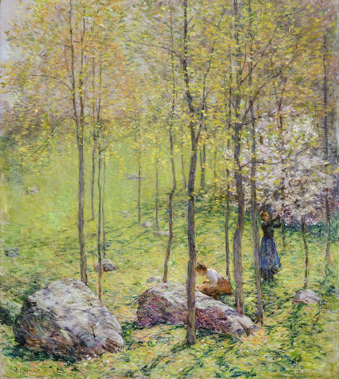 Dogwood Blossoms, 1906 alkotó: Willard Leroy Metcalf