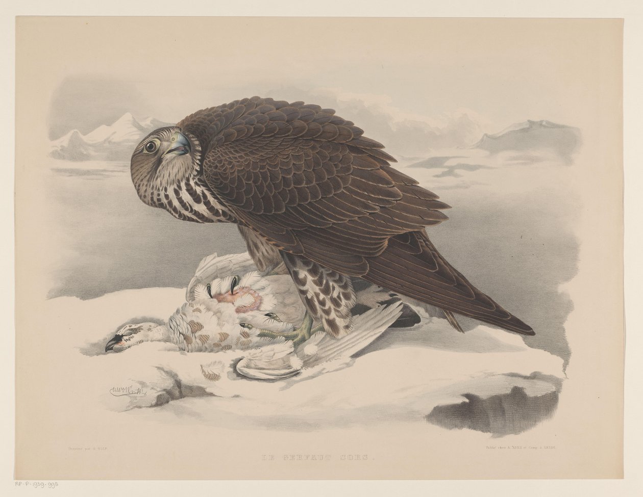 Gyrfalcon ptarmigannal Le gerfaut sors (cím a tárgyon) alkotó: Willem Bastiaan van Wouw