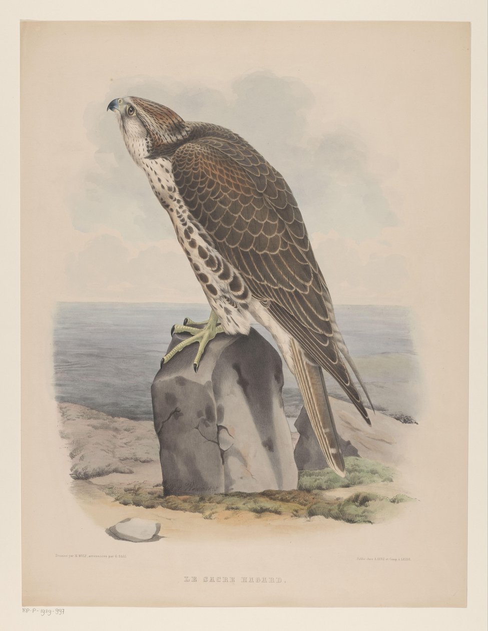 Valk Le sacre hagard (cím a tárgyon) alkotó: Willem Bastiaan van Wouw