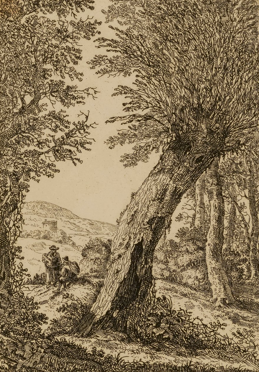 Tájkép fűzfával alkotó: Willem Bemmel
