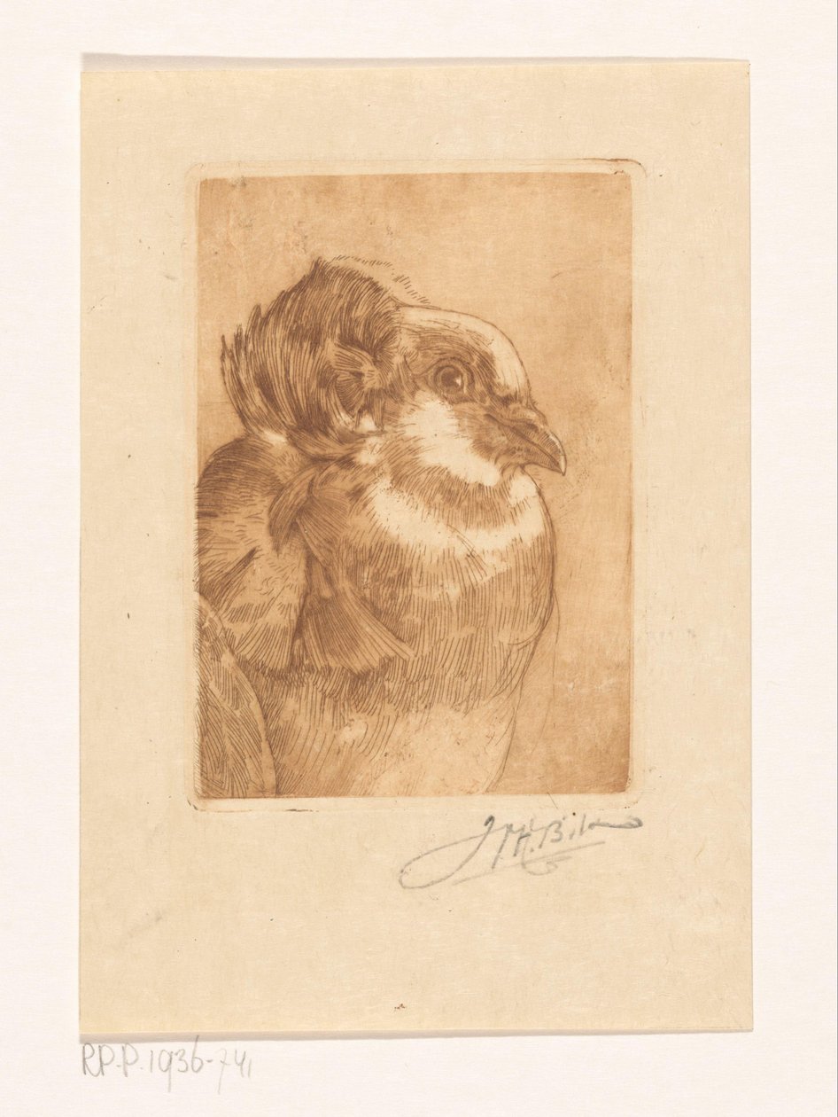 Egy galamb tanulmányozása alkotó: Willem Hendrik Bik (signed by artist)